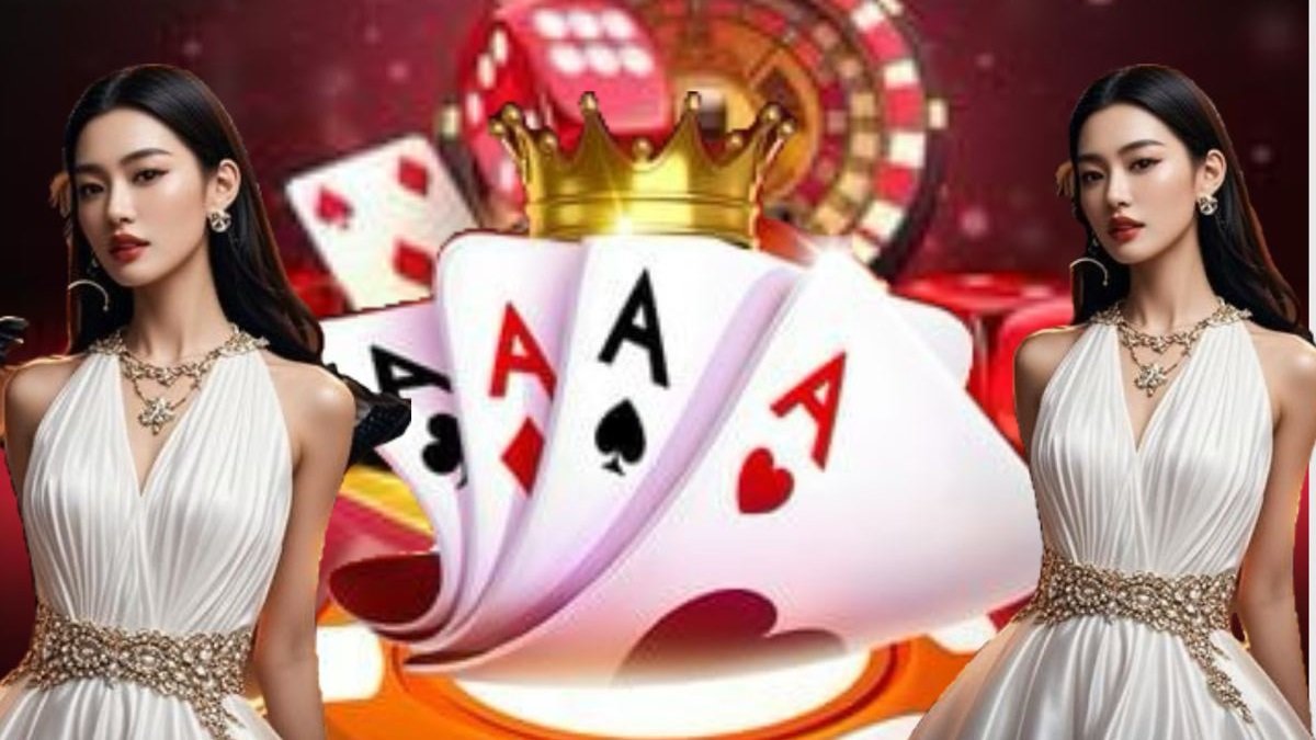 daa88 live casino